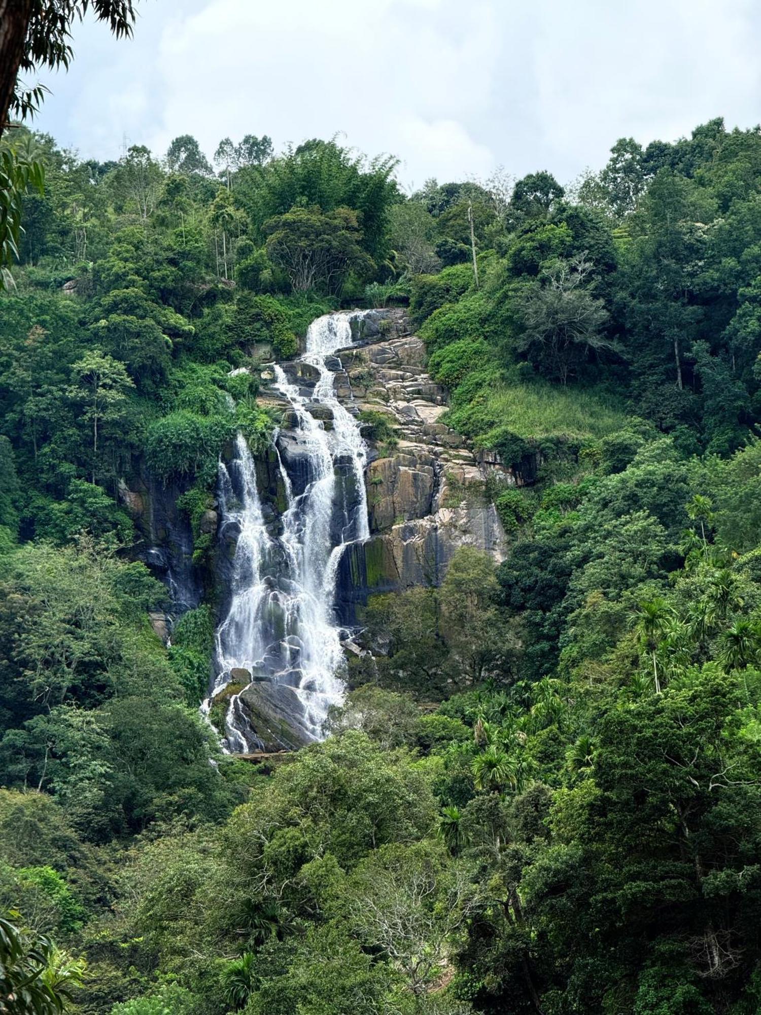 Проживание в семье Waterfall View *